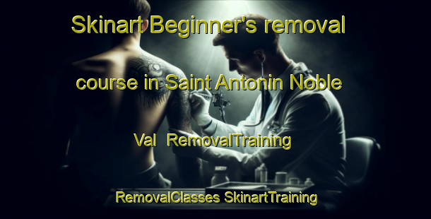 Skinart Beginner's removal course in Saint Antonin Noble Val | #RemovalTraining #RemovalClasses #SkinartTraining-France