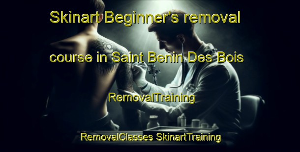 Skinart Beginner's removal course in Saint Benin Des Bois | #RemovalTraining #RemovalClasses #SkinartTraining-France