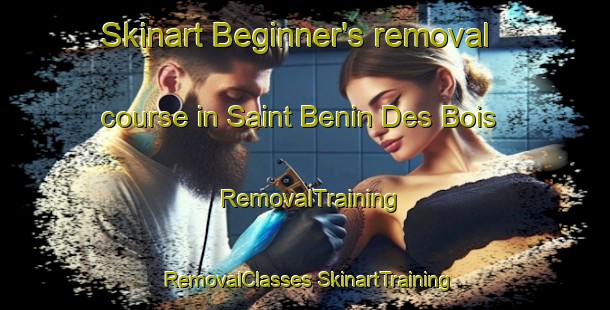 Skinart Beginner's removal course in Saint Benin Des Bois | #RemovalTraining #RemovalClasses #SkinartTraining-France