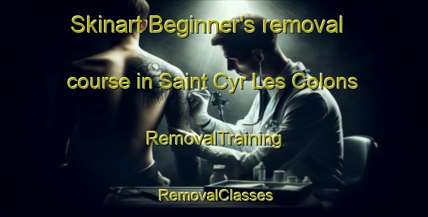Skinart Beginner's removal course in Saint Cyr Les Colons | RemovalTraining | RemovalClasses | SkinartTraining-France