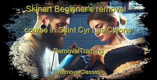 Skinart Beginner's removal course in Saint Cyr Les Colons | RemovalTraining | RemovalClasses | SkinartTraining-France