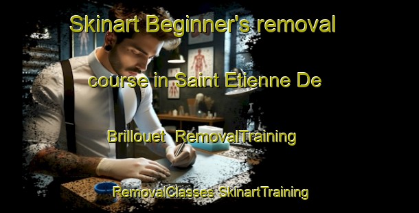 Skinart Beginner's removal course in Saint Etienne De Brillouet | #RemovalTraining #RemovalClasses #SkinartTraining-France