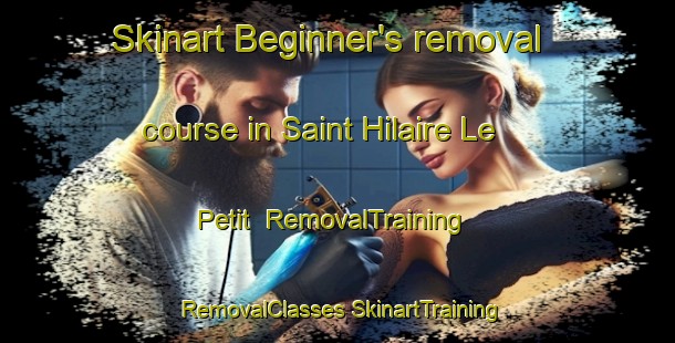 Skinart Beginner's removal course in Saint Hilaire Le Petit | #RemovalTraining #RemovalClasses #SkinartTraining-France