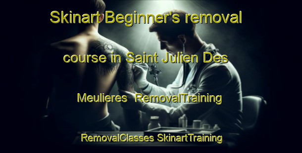 Skinart Beginner's removal course in Saint Julien Des Meulieres | #RemovalTraining #RemovalClasses #SkinartTraining-France