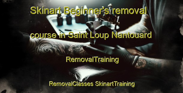 Skinart Beginner's removal course in Saint Loup Nantouard | #RemovalTraining #RemovalClasses #SkinartTraining-France