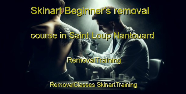 Skinart Beginner's removal course in Saint Loup Nantouard | #RemovalTraining #RemovalClasses #SkinartTraining-France