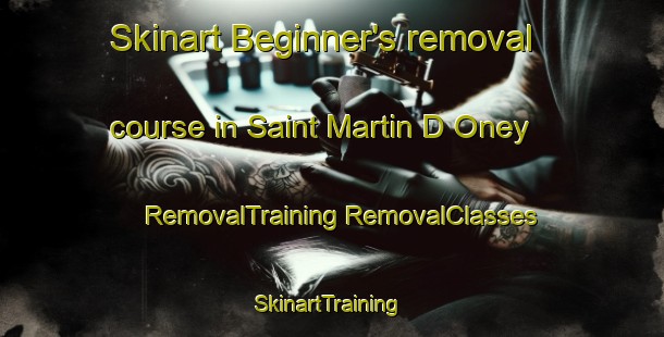 Skinart Beginner's removal course in Saint Martin D Oney | #RemovalTraining #RemovalClasses #SkinartTraining-France