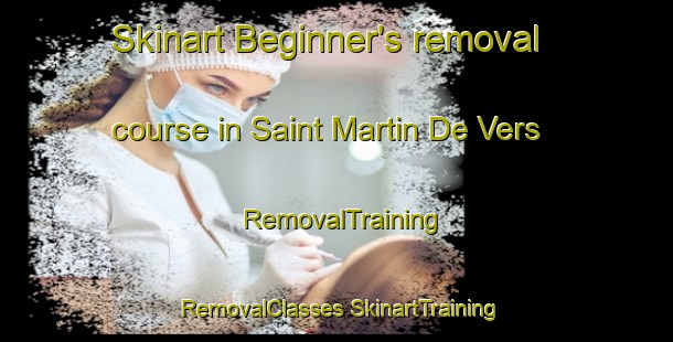 Skinart Beginner's removal course in Saint Martin De Vers | #RemovalTraining #RemovalClasses #SkinartTraining-France