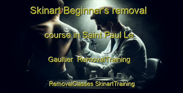 Skinart Beginner's removal course in Saint Paul Le Gaultier | #RemovalTraining #RemovalClasses #SkinartTraining-France