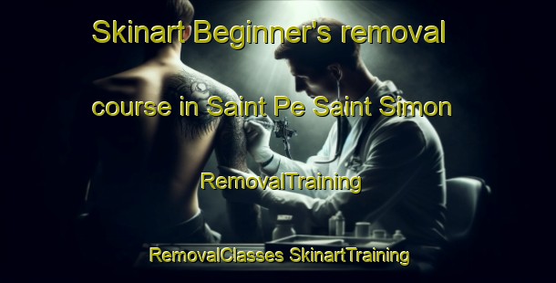 Skinart Beginner's removal course in Saint Pe Saint Simon | #RemovalTraining #RemovalClasses #SkinartTraining-France