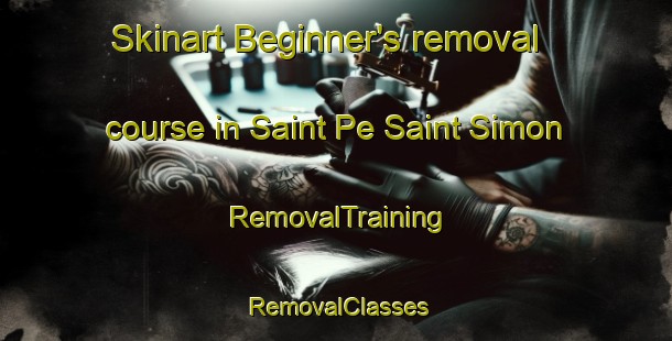 Skinart Beginner's removal course in Saint Pe Saint Simon | RemovalTraining | RemovalClasses | SkinartTraining-France