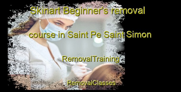 Skinart Beginner's removal course in Saint Pe Saint Simon | RemovalTraining | RemovalClasses | SkinartTraining-France