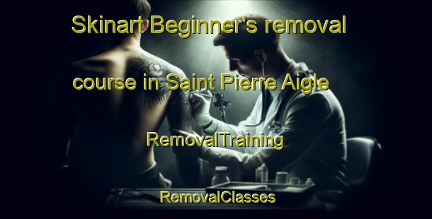 Skinart Beginner's removal course in Saint Pierre Aigle | RemovalTraining | RemovalClasses | SkinartTraining-France