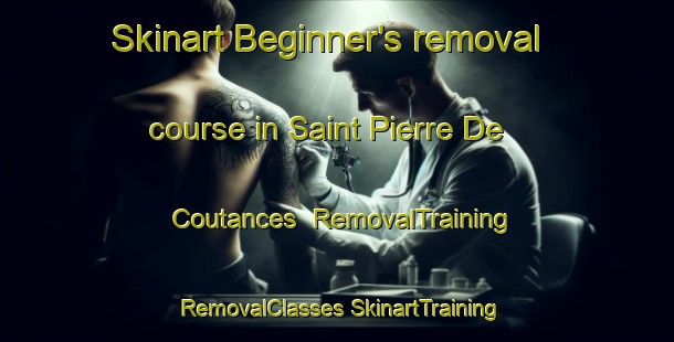 Skinart Beginner's removal course in Saint Pierre De Coutances | #RemovalTraining #RemovalClasses #SkinartTraining-France