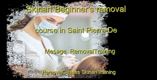 Skinart Beginner's removal course in Saint Pierre De Mesage | #RemovalTraining #RemovalClasses #SkinartTraining-France