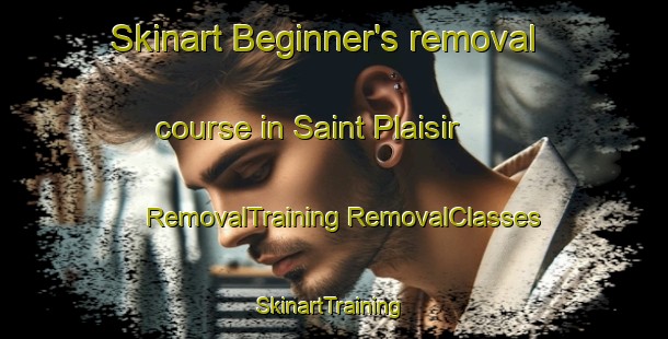 Skinart Beginner's removal course in Saint Plaisir | #RemovalTraining #RemovalClasses #SkinartTraining-France