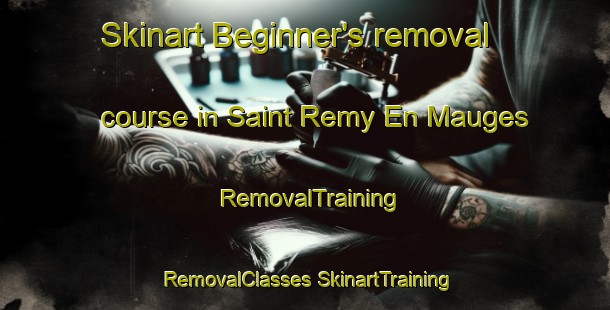 Skinart Beginner's removal course in Saint Remy En Mauges | #RemovalTraining #RemovalClasses #SkinartTraining-France