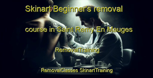 Skinart Beginner's removal course in Saint Remy En Mauges | #RemovalTraining #RemovalClasses #SkinartTraining-France