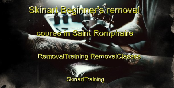 Skinart Beginner's removal course in Saint Romphaire | #RemovalTraining #RemovalClasses #SkinartTraining-France