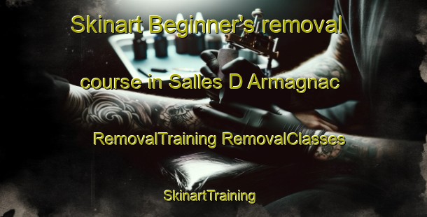 Skinart Beginner's removal course in Salles D Armagnac | #RemovalTraining #RemovalClasses #SkinartTraining-France