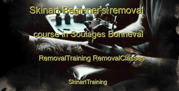 Skinart Beginner's removal course in Soulages Bonneval | #RemovalTraining #RemovalClasses #SkinartTraining-France