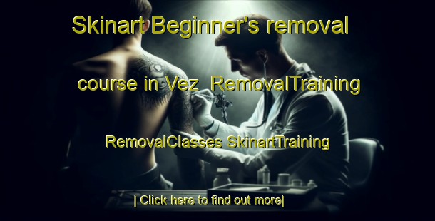 Skinart Beginner's removal course in Vez | #RemovalTraining #RemovalClasses #SkinartTraining-France