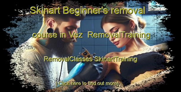 Skinart Beginner's removal course in Vez | #RemovalTraining #RemovalClasses #SkinartTraining-France