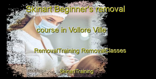 Skinart Beginner's removal course in Vollore Ville | #RemovalTraining #RemovalClasses #SkinartTraining-France