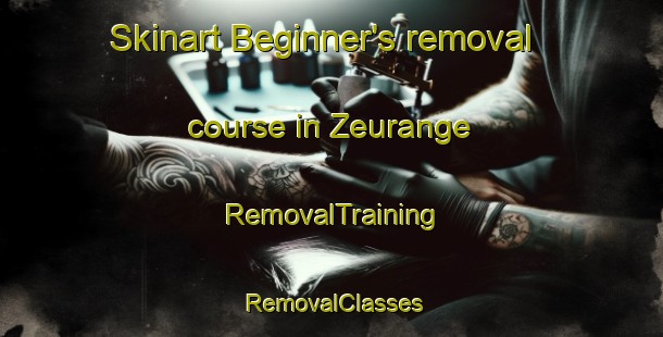 Skinart Beginner's removal course in Zeurange | RemovalTraining | RemovalClasses | SkinartTraining-France