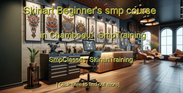 Skinart Beginner's smp course in Chamboeuf | SmpTraining | SmpClasses | SkinartTraining-France
