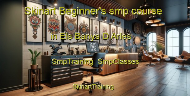 Skinart Beginner's smp course in Els Banys D Arles | SmpTraining | SmpClasses | SkinartTraining-France