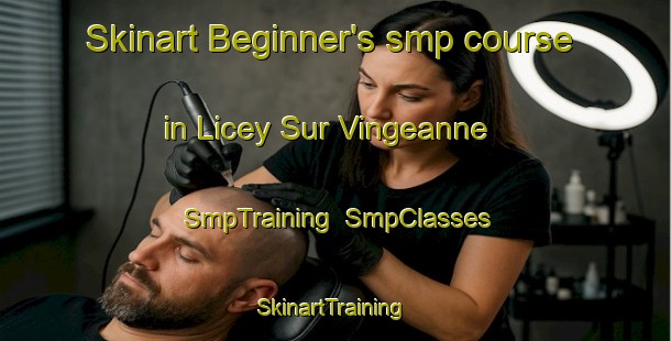 Skinart Beginner's smp course in Licey Sur Vingeanne | SmpTraining | SmpClasses | SkinartTraining-France