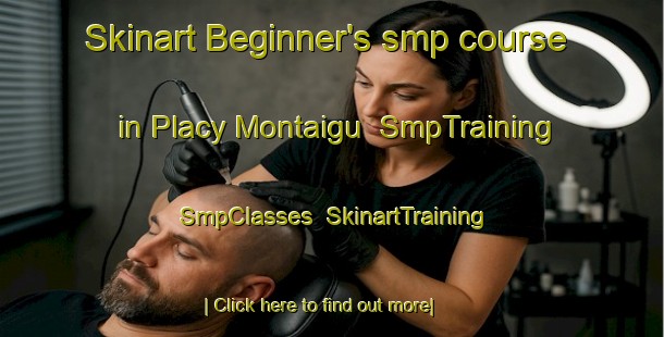 Skinart Beginner's smp course in Placy Montaigu | SmpTraining | SmpClasses | SkinartTraining-France