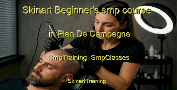 Skinart Beginner's smp course in Plan De Campagne | SmpTraining | SmpClasses | SkinartTraining-France