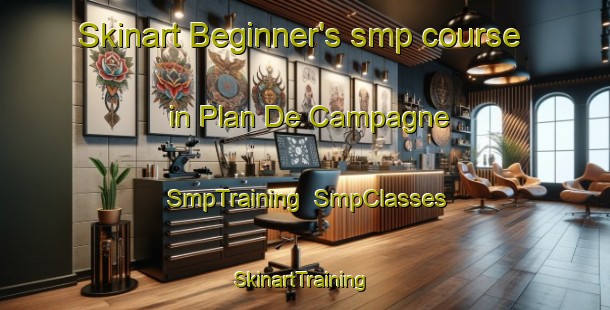 Skinart Beginner's smp course in Plan De Campagne | SmpTraining | SmpClasses | SkinartTraining-France