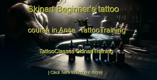 Skinart Beginner's tattoo course in Anse | #TattooTraining #TattooClasses #SkinartTraining-France