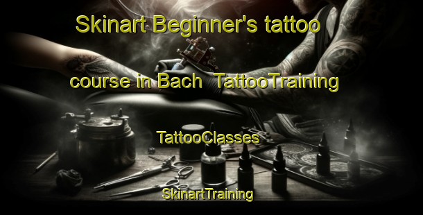 Skinart Beginner's tattoo course in Bach | TattooTraining | TattooClasses | SkinartTraining-France