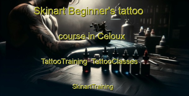 Skinart Beginner's tattoo course in Celoux | TattooTraining | TattooClasses | SkinartTraining-France