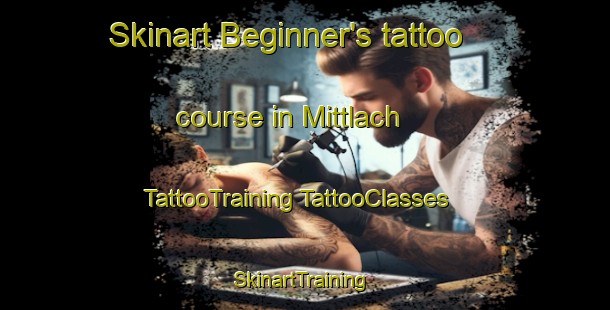 Skinart Beginner's tattoo course in Mittlach | #TattooTraining #TattooClasses #SkinartTraining-France