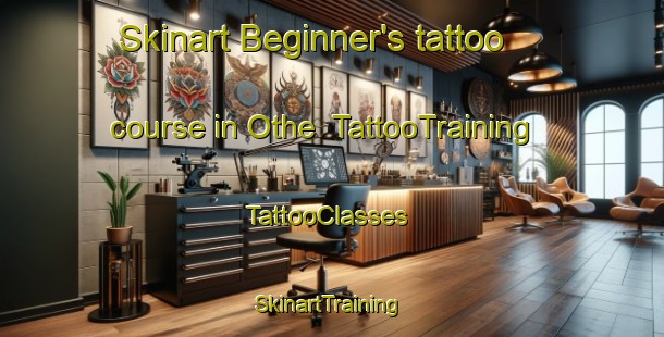 Skinart Beginner's tattoo course in Othe | TattooTraining | TattooClasses | SkinartTraining-France