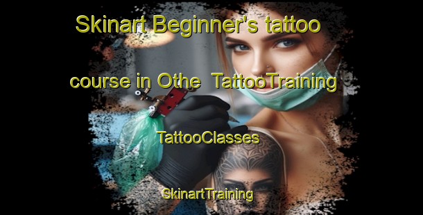 Skinart Beginner's tattoo course in Othe | TattooTraining | TattooClasses | SkinartTraining-France