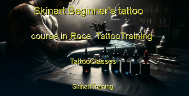 Skinart Beginner's tattoo course in Roce | TattooTraining | TattooClasses | SkinartTraining-France