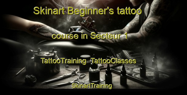 Skinart Beginner's tattoo course in Secteur 1 | TattooTraining | TattooClasses | SkinartTraining-France