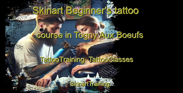 Skinart Beginner's tattoo course in Togny Aux Boeufs | TattooTraining | TattooClasses | SkinartTraining-France