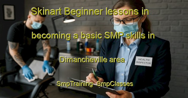 Skinart Beginner lessons in becoming a basic SMP skills in Dimancheville area | SmpTraining | SmpClasses | SkinartTraining-France