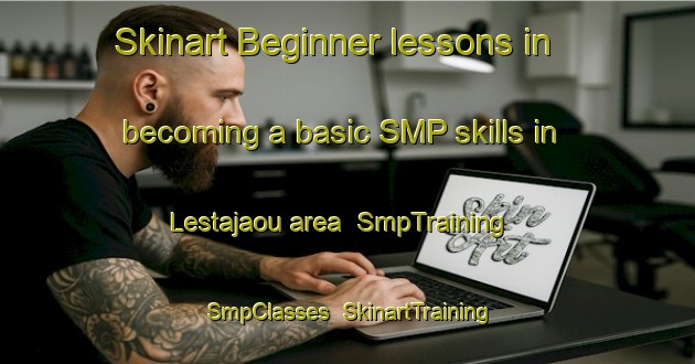 Skinart Beginner lessons in becoming a basic SMP skills in Lestajaou area | SmpTraining | SmpClasses | SkinartTraining-France
