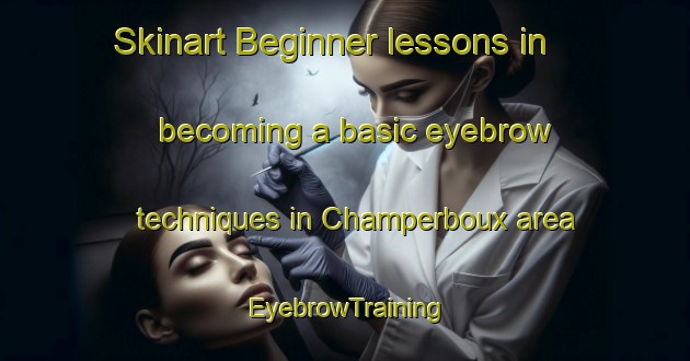 Skinart Beginner lessons in becoming a basic eyebrow techniques in Champerboux area | EyebrowTraining | EyebrowClasses | SkinartTraining-France