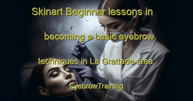 Skinart Beginner lessons in becoming a basic eyebrow techniques in La Grattade area | EyebrowTraining | EyebrowClasses | SkinartTraining-France
