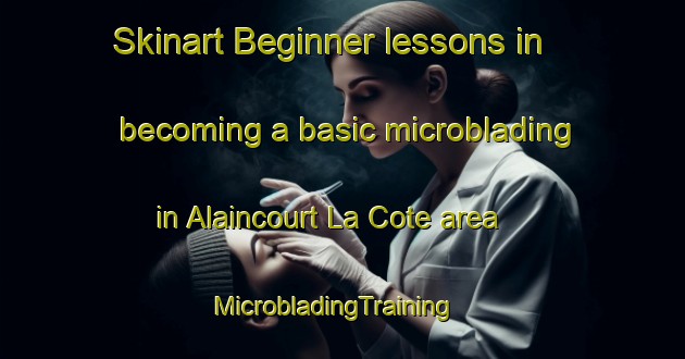 Skinart Beginner lessons in becoming a basic microblading in Alaincourt La Cote area | MicrobladingTraining | MicrobladingClasses | SkinartTraining-France