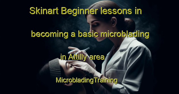 Skinart Beginner lessons in becoming a basic microblading in Attilly area | MicrobladingTraining | MicrobladingClasses | SkinartTraining-France
